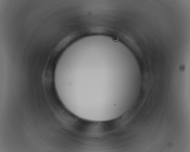 X0000093090116200710101525