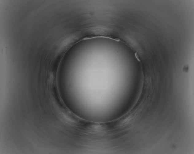 X0000093090117200710101525