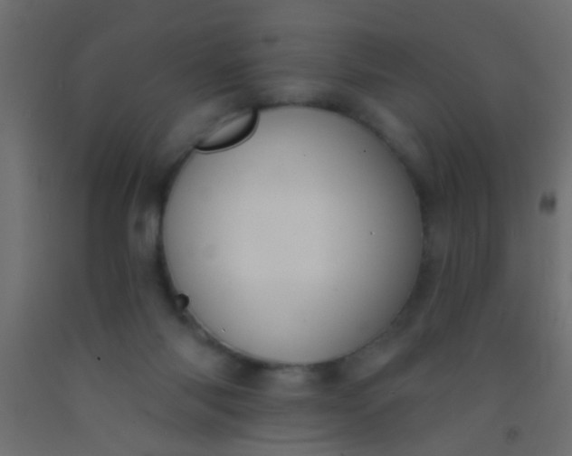 X0000093090118200710101525