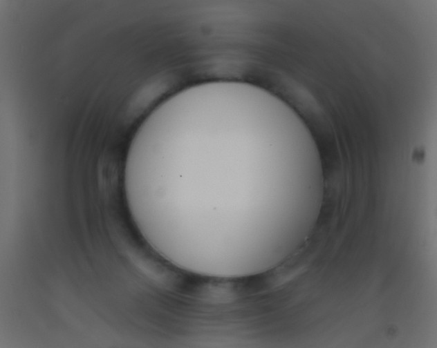 X0000093090120200710101525