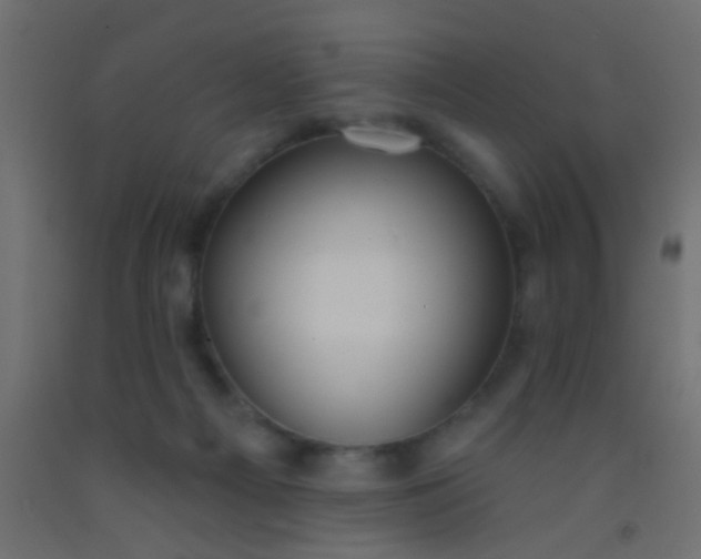 X0000093090121200710101525