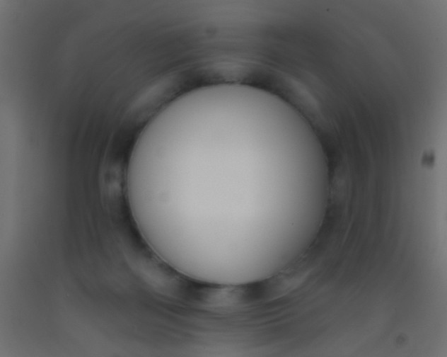 X0000093090122200710101525