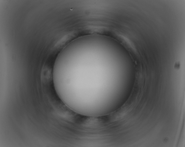 X0000093090123200710101525