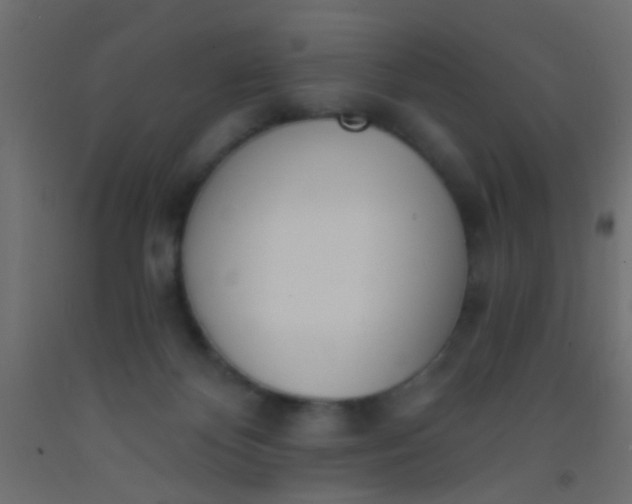 X0000093090124200710101525