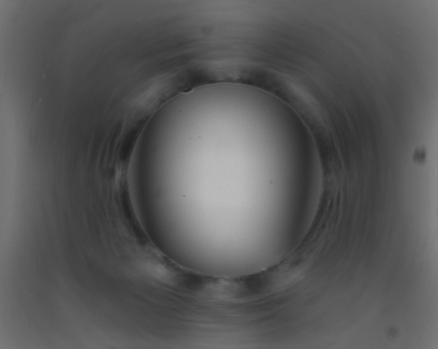 X0000093090125200710101525