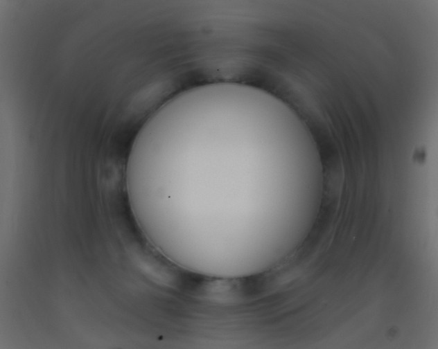 X0000093090126200710101525