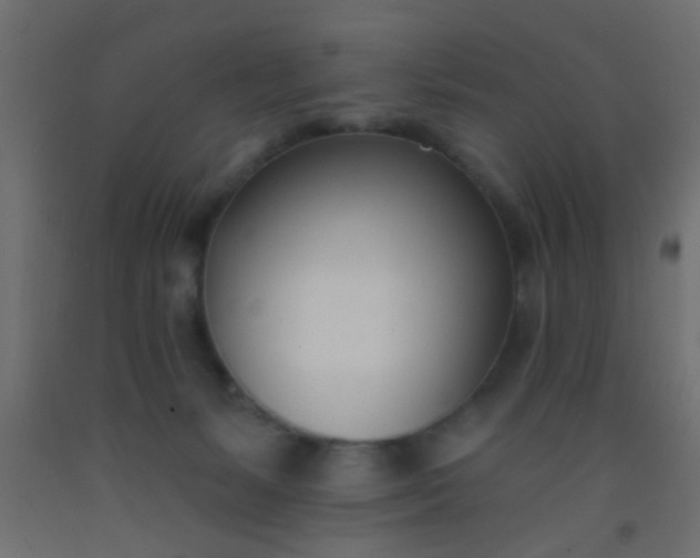 X0000093090127200710101525