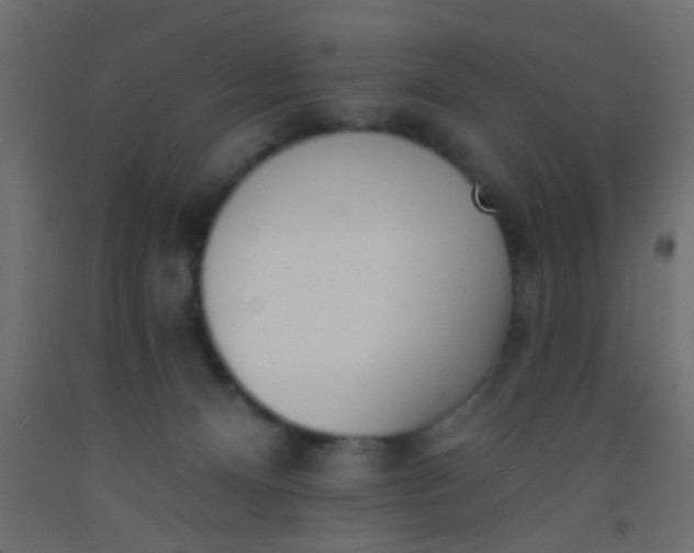 X0000093090128200710101525