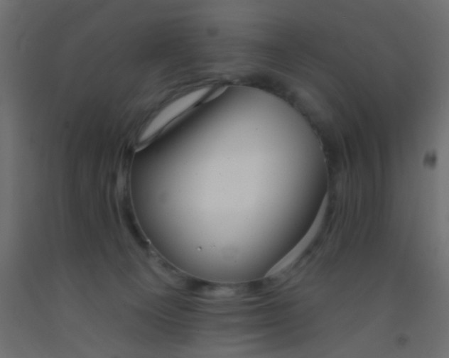 X0000093090129200710101525