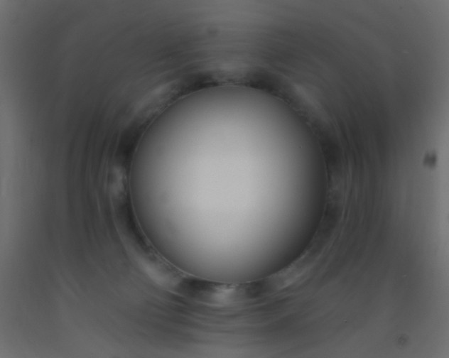 X0000093090130200710101525