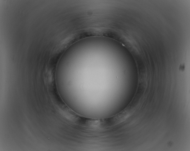 X0000093090131200710101525