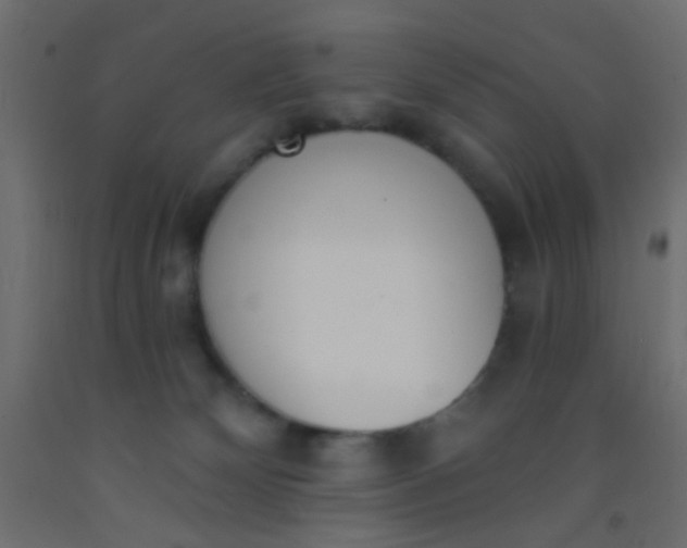 X0000093090132200710101525