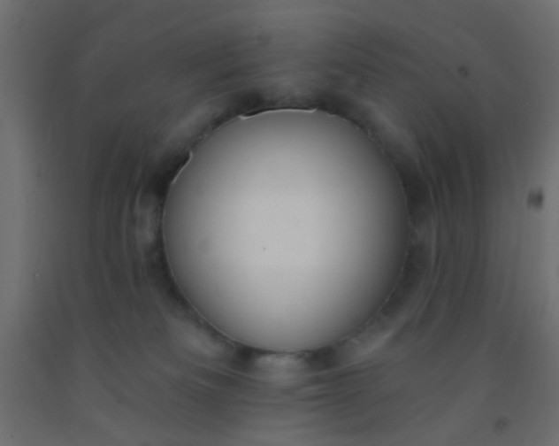 X0000093090133200710101525