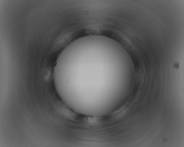 X0000093090134200710101525