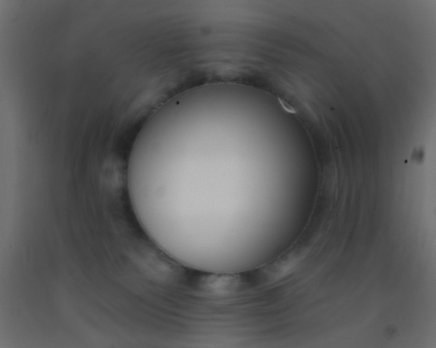 X0000093090135200710101525