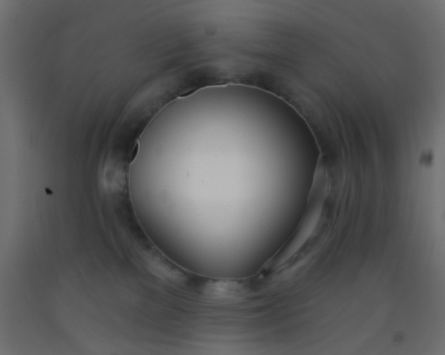 X0000093090137200710101525