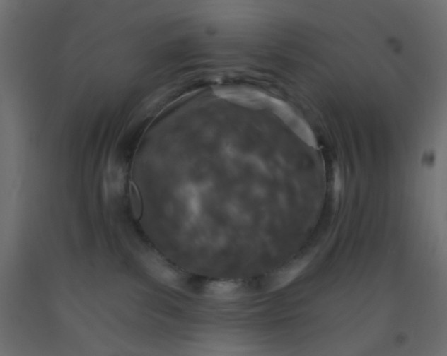 X0000093090139200710101525