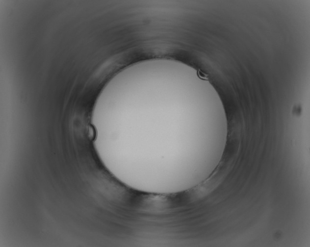 X0000093090140200710101525