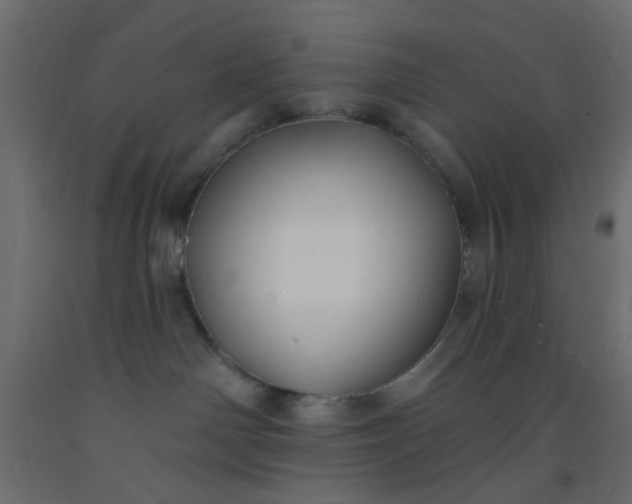 X0000093090142200710101525