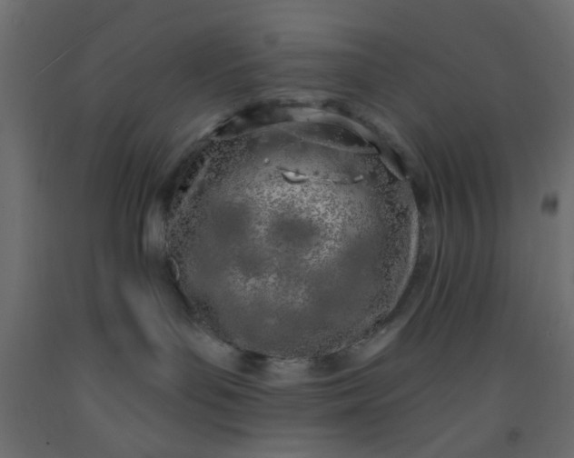 X0000093090143200710101525