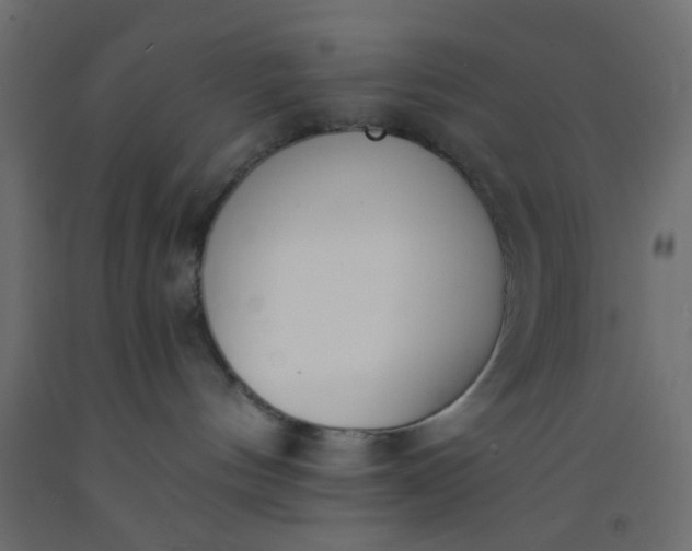 X0000093090144200710101525