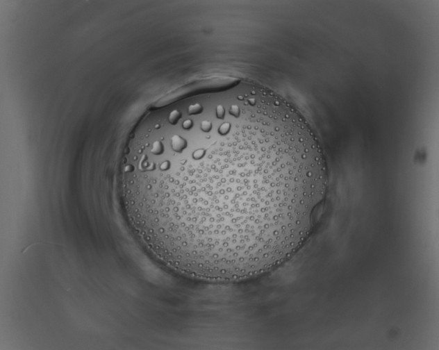 X0000093090145200710101524