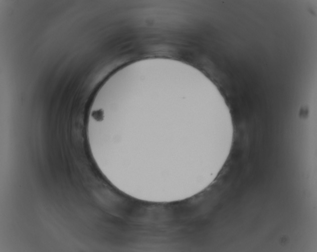 X0000093090146200710101524