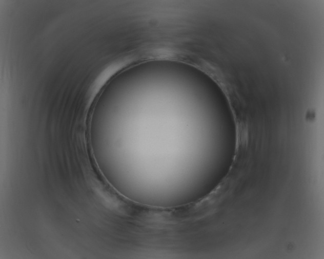 X0000093090147200710101524