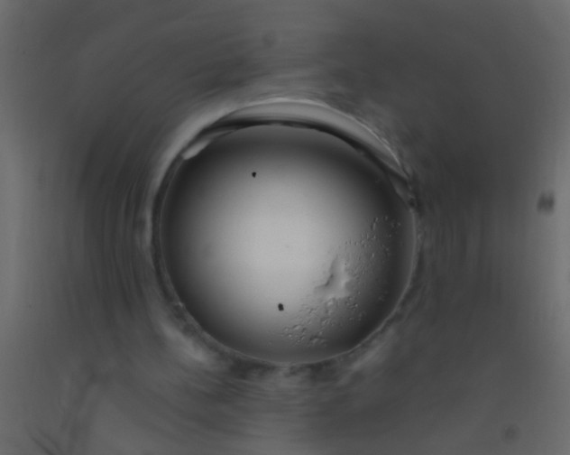 X0000093090148200710101524