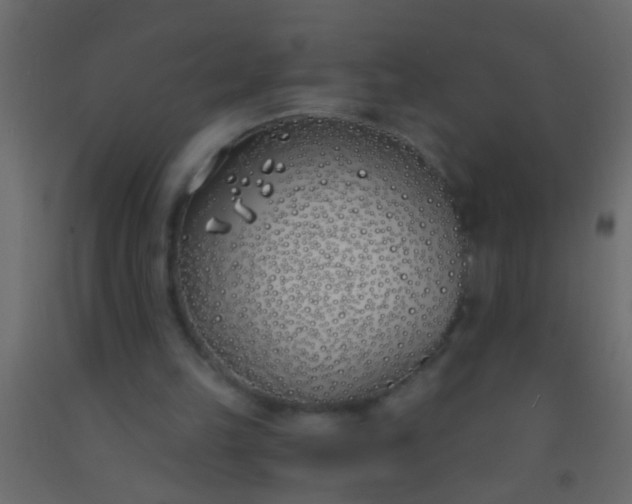 X0000093090149200710101524