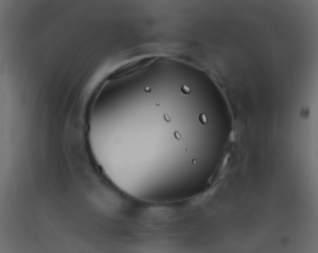 X0000093090150200710101524