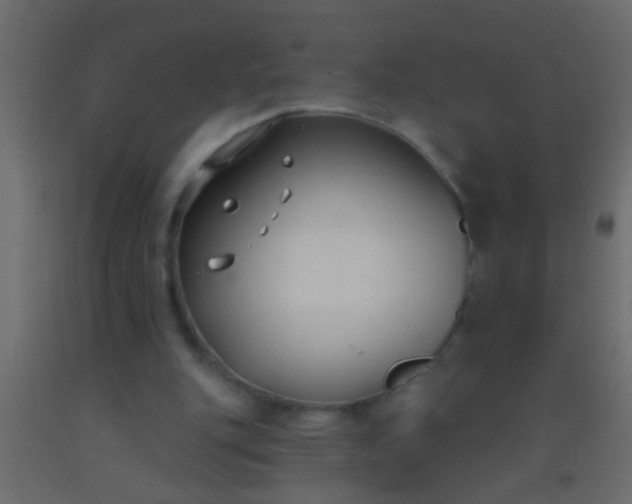 X0000093090151200710101524