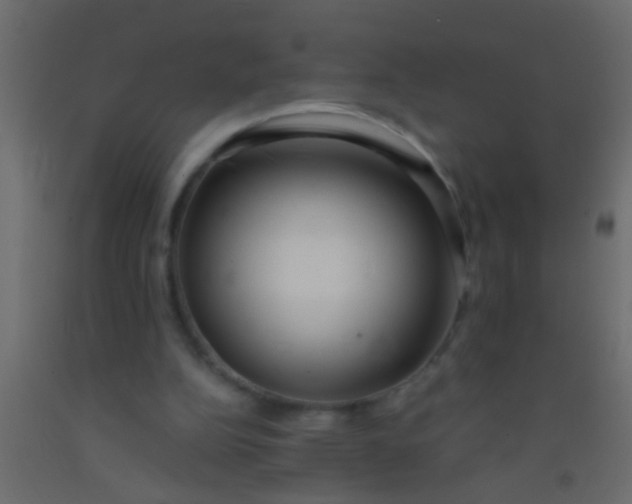 X0000093090152200710101524