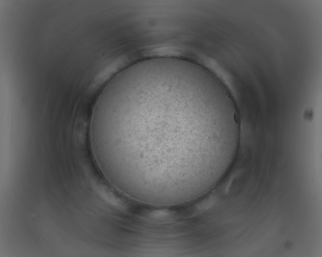 X0000093090153200710101524