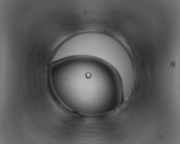 X0000093090154200710101524