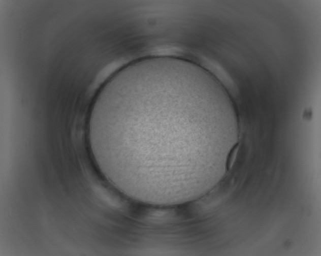 X0000093090155200710101524