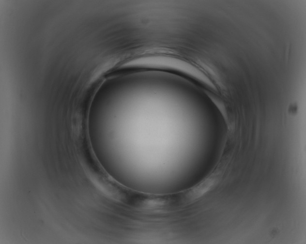 X0000093090158200710101524