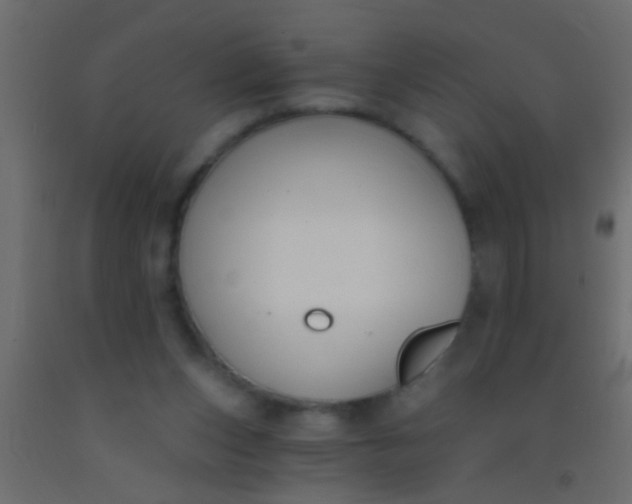 X0000093090159200710101524