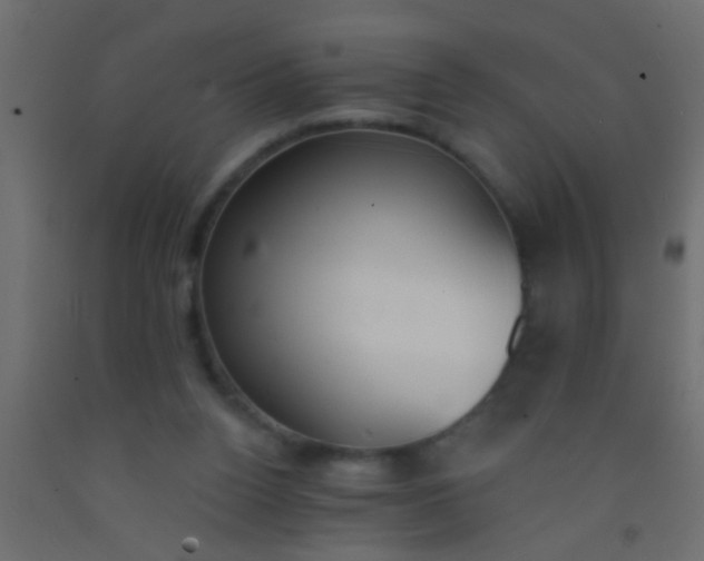 X0000093090160200710101524