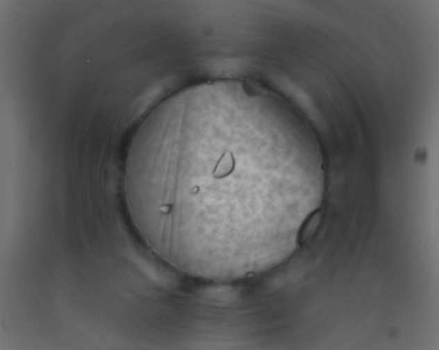 X0000093090161200710101524