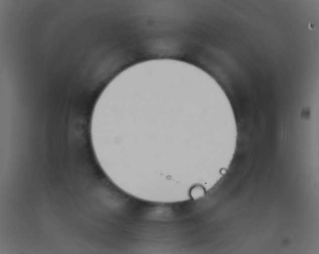 X0000093090162200710101524