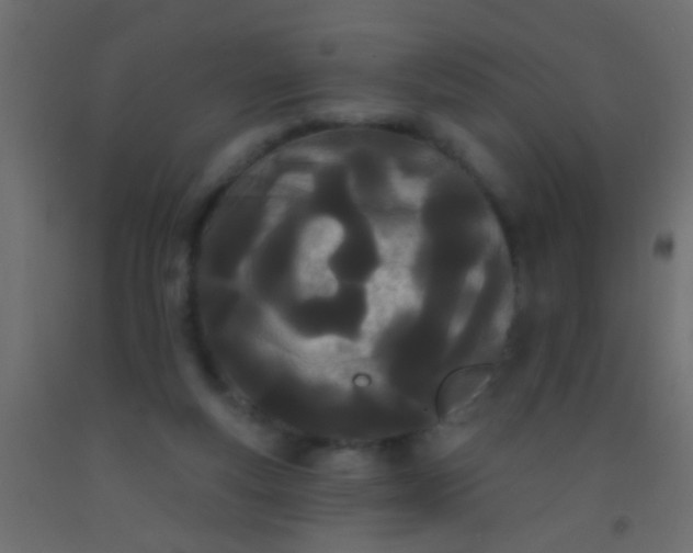 X0000093090163200710101524