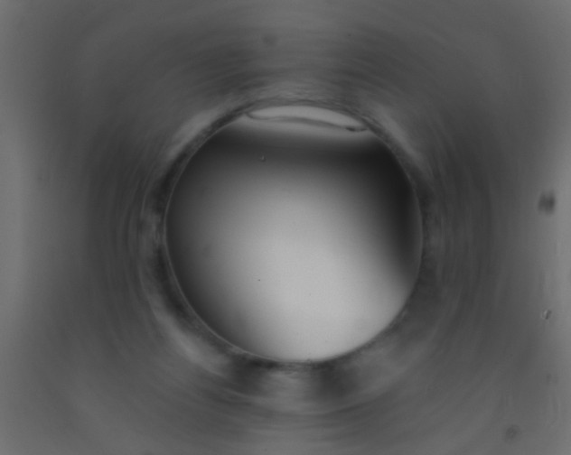 X0000093090164200710101524