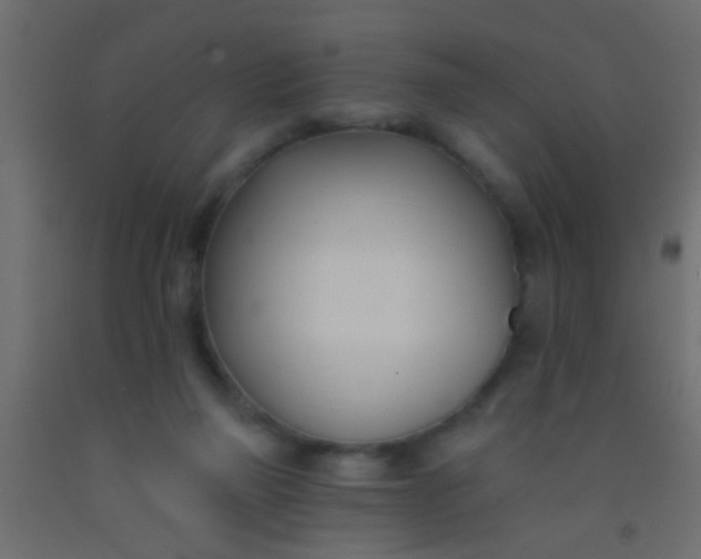 X0000093090165200710101524