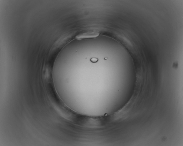 X0000093090166200710101524