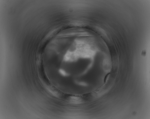 X0000093090167200710101524