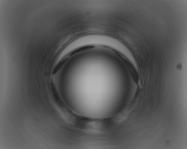 X0000093090168200710101524