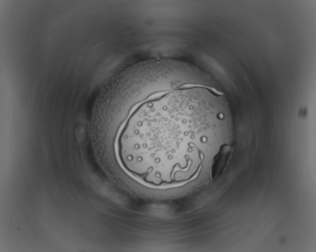 X0000093090169200710101524