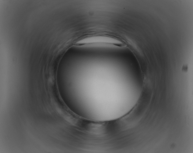 X0000093090170200710101524