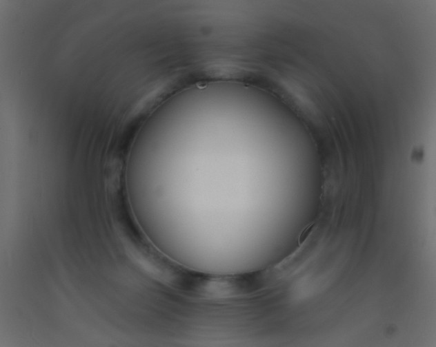 X0000093090171200710101525